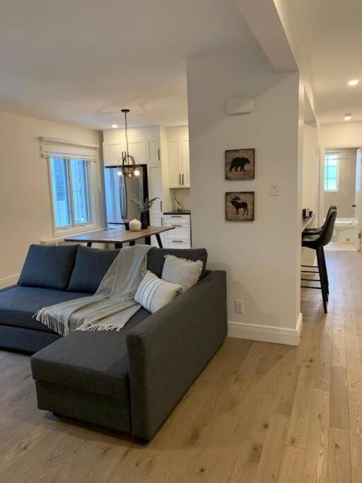 Free Parking, Beautiful 4 1/2- 2 Bedroom Apartment Montreal Zewnętrze zdjęcie